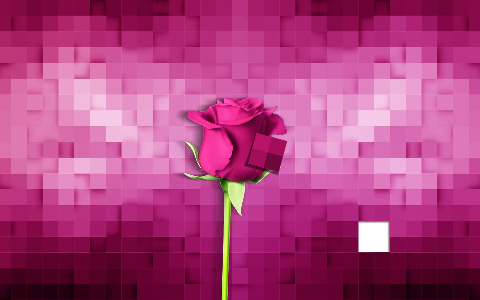 توزيع الألوان ثلاثي الأبعاد1